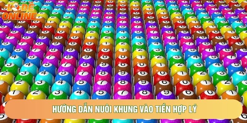 Hướng dẫn nuôi khung vào tiền hợp lý Hướng dẫn nuôi khung vào tiền hợp lý