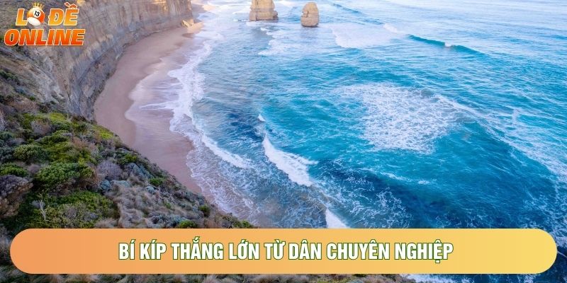 Bí kíp thắng lớn từ dân chuyên nghiệp Bí kíp thắng lớn từ dân chuyên nghiệp