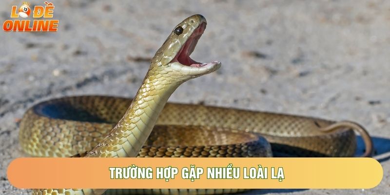 Trường hợp gặp nhiều loài lạ