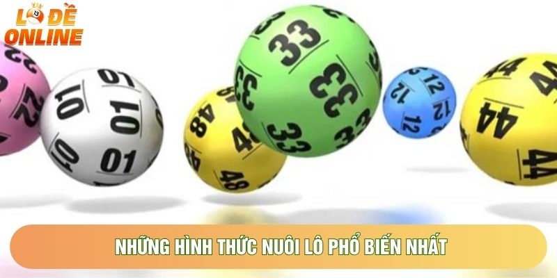 Những hình thức nuôi lô phổ biến nhất